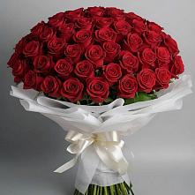Букет 101 Красная роза Блэк Мэджик в Михали