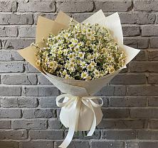 Букет цветов из:  Ромашки #REPLACE_PRED# Михали