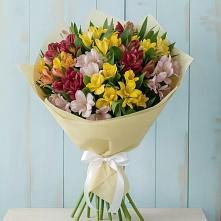 Букет цветов из:  Альстромерии в Михали