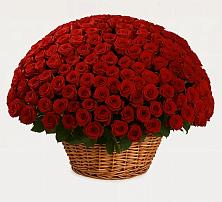 Премиум букет из: Розы #REPLACE_PRED# Михали