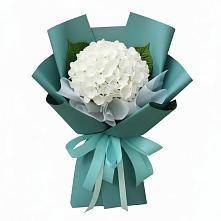 Букет цветов из:  Гортензия #REPLACE_PRED# Михали